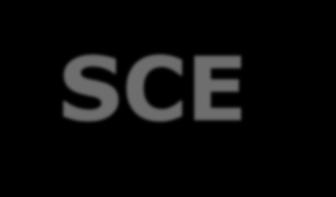 Evaluation Across SCE COE Sites Team