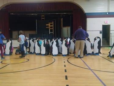 Penguins practice for the performance of the puppet