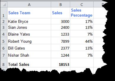 You will enter a formula to calculate each sales person s sale as a percentage of the total sales. 1.