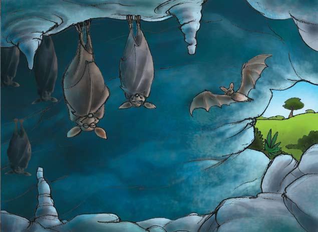 Many bats live in caves.