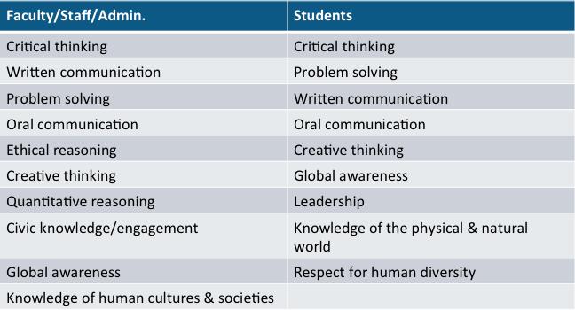 Addendum 1 List of key themes/topics identified by the campus surveys