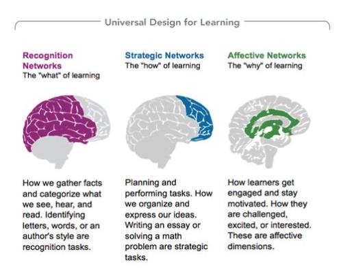 UD & UDL Add the Learning Considering barriers in the learning environment Reducing or eliminating barriers by