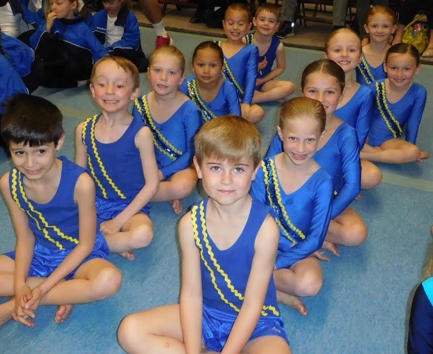 HARLOW GYMNASTICS COMPETITION SPORTS REPORT The Harlow and District Primary Schools Sports Association held their annual Key Steps Gymnastics Competition at The Harlow Gymnastics Club on Tuesday.