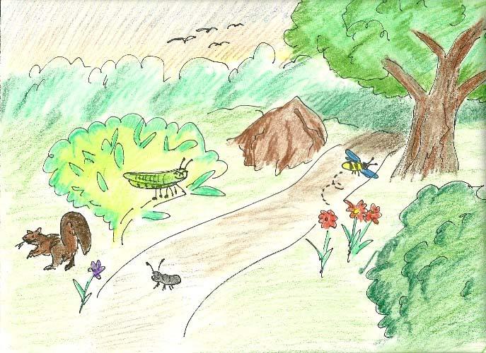 1 Page Nature Trail I see a green grasshopper sitting on a plant. I see a tall bushy shade tree. I see a busy big black ant.