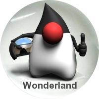Wonderland Status Active open source community Currently at 0.