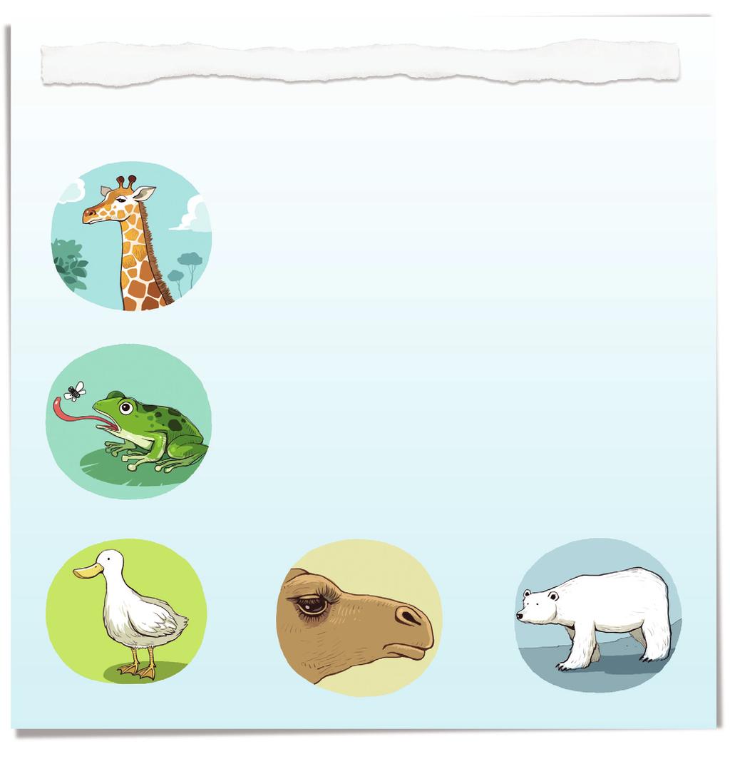 4 - Demonstratives and Possessives 1 C Choose and write. polar bear s duck s Giraffes animals Frogs camel s Amazing Animals All animals have something special to help them live in the world.
