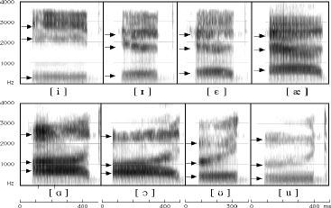 Figure 3: Spectrographic display Students are initially given a small tutorial on how to analyze the speech signal by learning some basic information about acoustic phonetics, i.e., what a sound wave, spectrogram, pitch contour and intensity display all are.