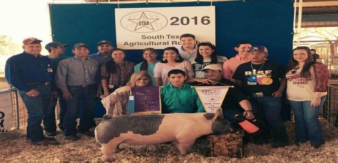 Veterans Memorial High School Mission Veterans Memorial FFA Exhibitors VMHS FFA MEMBERS EARN SCHOLARSHIPS, SHINY BUCKLES, PREMIUM MONEY, AND EXCELLENCE AWARD Preparing for a livestock show and