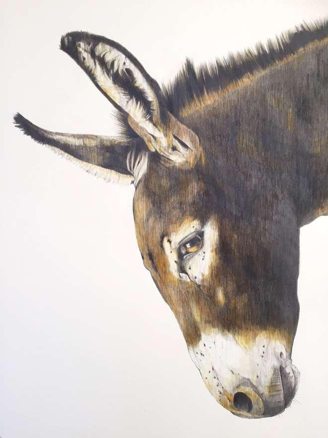 Mykonos Donkey $1,750 Pencil on