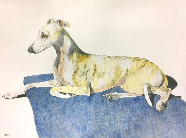The Whippet $1,750 Pencil on