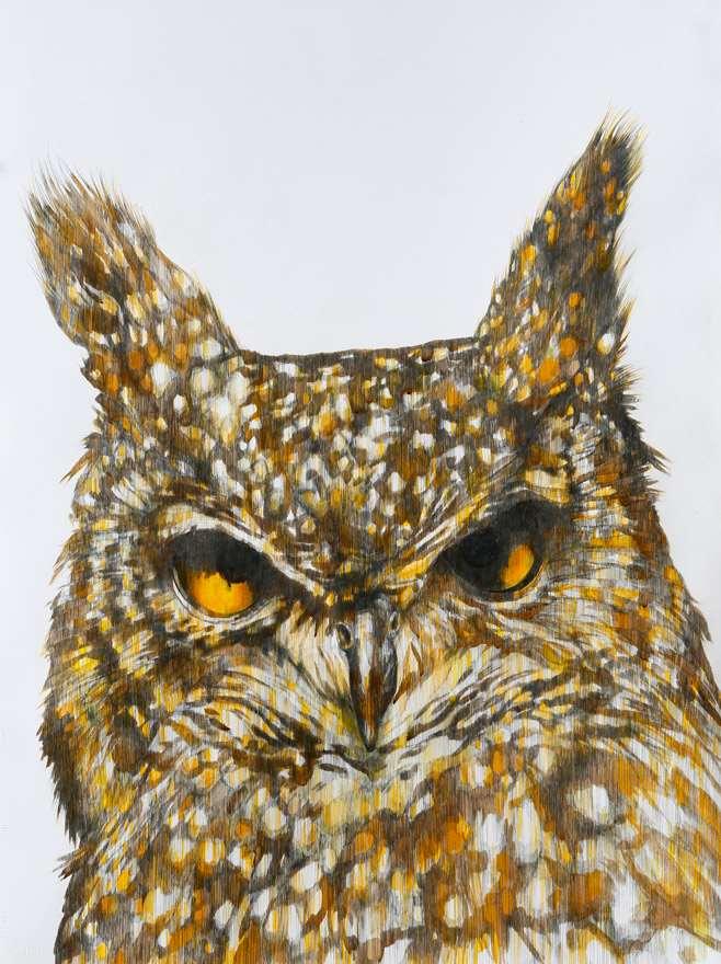 Owl I, Attika Park Zoo, Athens Greece $2,000