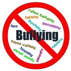 Bullying Bullying is defined in the County School District Bullying Policy and may be viewed online at www.okaloosaschools.