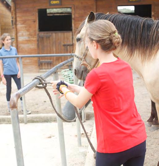 Our Equestrian Centre is 5 minutes walk from the Boarding
