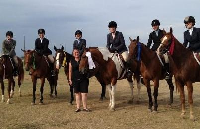 Wednesday March 7 Horse Show