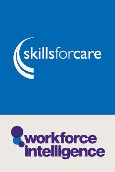 Social work education Skills for Care analysis of