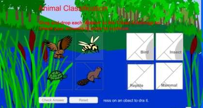 There are four type of assessment interactive pages: 1. Drag and Drop: The drag and drop interaction will assess what students know about animals and the animal group in which they belong.