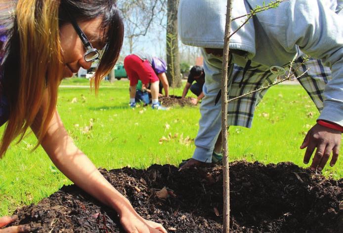 This activity allows students to apply their knowledge to plan and complete a service-learning project related to climate change and forests.
