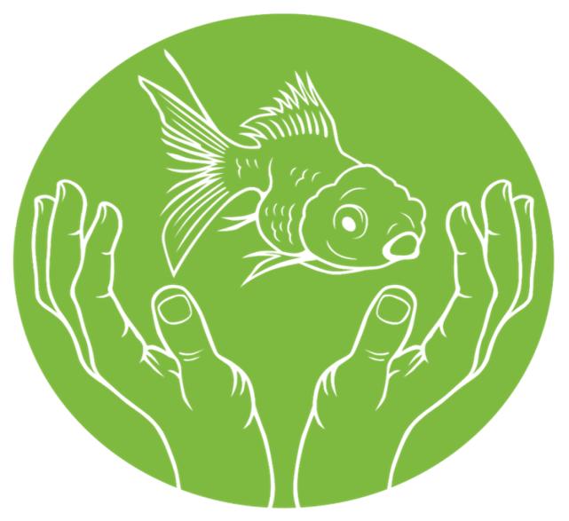 Humanitarian Babel Fish A user friendly