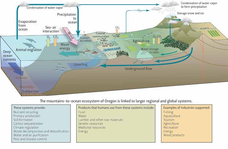 BOX 3: MOUNTAINS-TO-OCEAN SCOPE OF THE MARINE STUDIES INITIATIVE All life on Earth is ultimately dependent on the ocean.