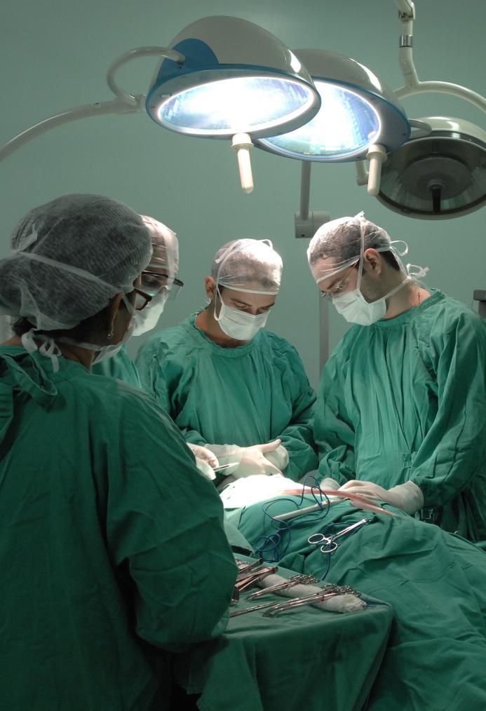 University Hospital and Maternity (2015) 363 beds 11.991 surgeries 308 transplants 5.