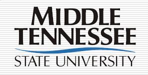 PROFESSIONAL COUNSELING PROGRAM Middle Tennessee State University 1301 East Main Street Murfreesboro, TN 37132 http://www.mtsu.
