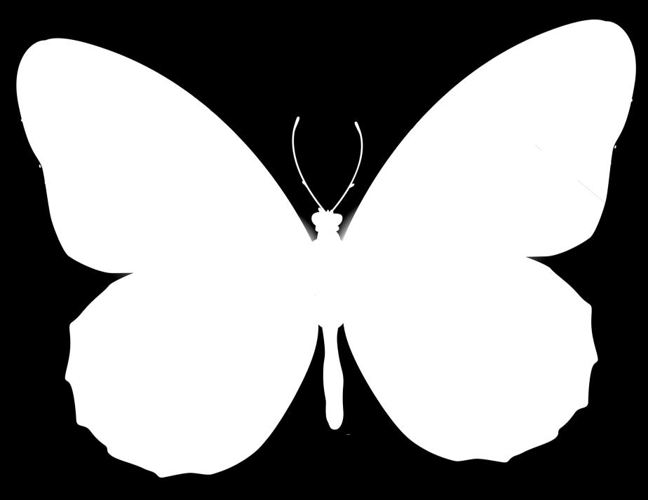 is a butterfly or a moth is to look at their antennae.