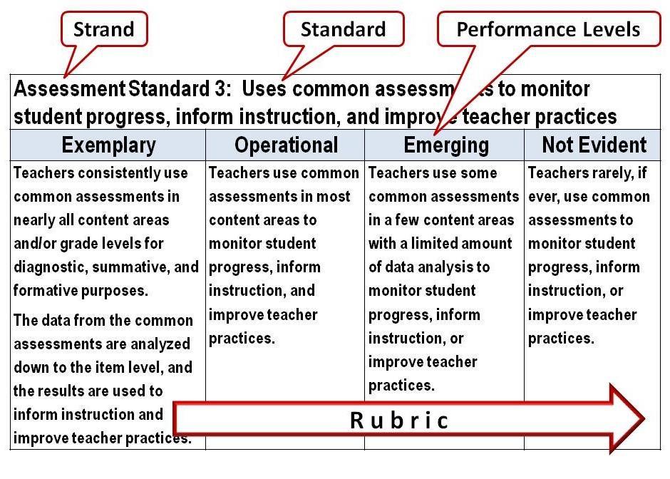Georgia School Performance Standards Structure The Georgia School Performance Standards are divided into eight broad strands: Curriculum, Assessment, Instruction, Professional Learning, Leadership,