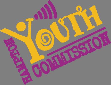 Youth Planners Representation, Partnerships Potential grant recipients 4 High