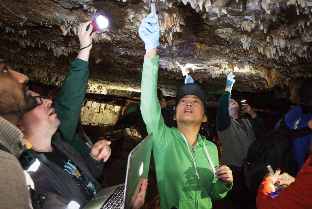 Pellissippi State Geology students collect water samples from stalactites at Cherokee Caverns. Doing their coursework at this unique site was made possible by a National Speleological Society grant.