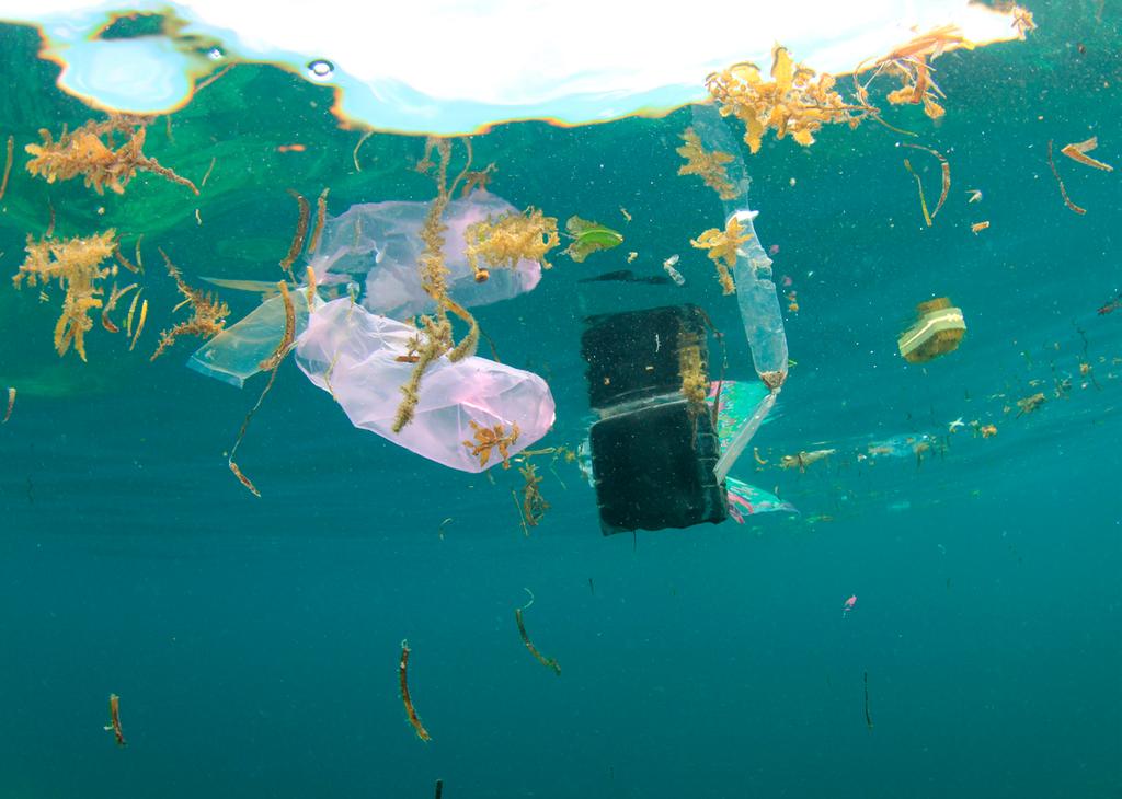 Volvo Ocean Race Teachers Guide Topic 2 What is Ocean Plastic Pollution?