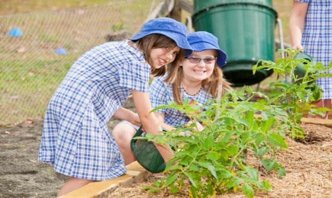 Our school at a glance Kitchener Public School is located six kilometers south of Cessnock and draws students from Kitchener, Abernethy, Quorrobolong, Cessnock South and some surrounding areas.