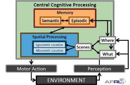 representation and mechanisms of spatial cognition in human-system
