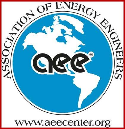 International Developments AEE is building a network of international AEE Chapters,