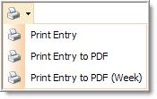 Print Options These print options are for the entry only. Copy Lesson Plan This button copies the day s entry to another day. Select the target date in the calendar.