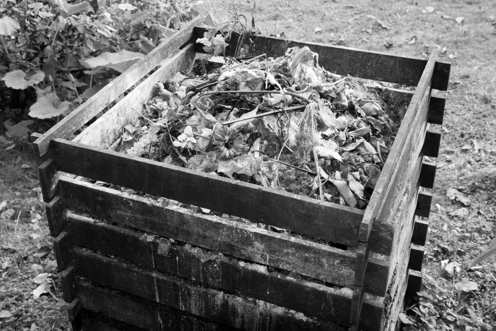 Composting Many families have a compost pile in their backyard. This is a pile of dirt, leaves, grass, and old food that will help with the environment.