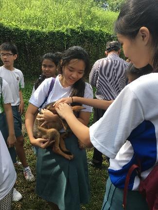 Class Organisation/Programmes Reflections 2A, 2N2 2B 2C 2N3 Bright Hill Everygreen Home Greendale Primary School (Lorong Halus) SOSD Dog Shelter Volunteer & Donation Singapore There was a moment of