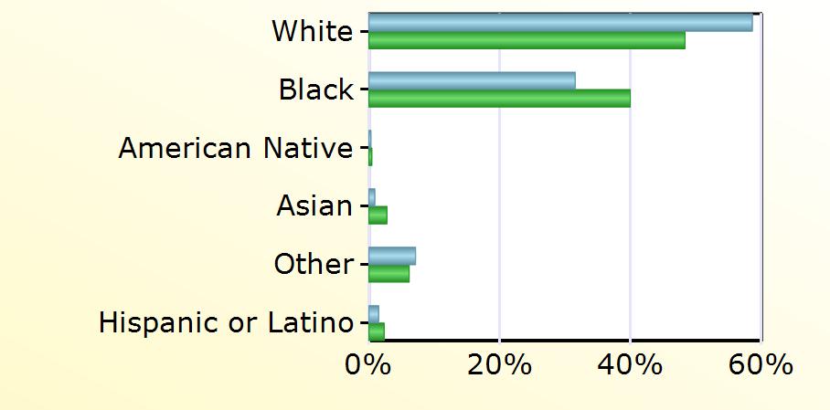 County Virginia White 197 10,905 Black 106 9,014 American Native 1 100 Asian 3 619 Other 24 1,388 Hispanic or Latino 5 527