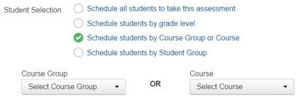 Schedule students by grade level: Use this option if you want only students in a specific grade(s) to take the assessment. Check the box(es) of the grade(s) you wish to schedule.