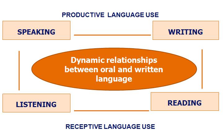 Reading and Language Domains 10 Source: Peregoy & Boyle,