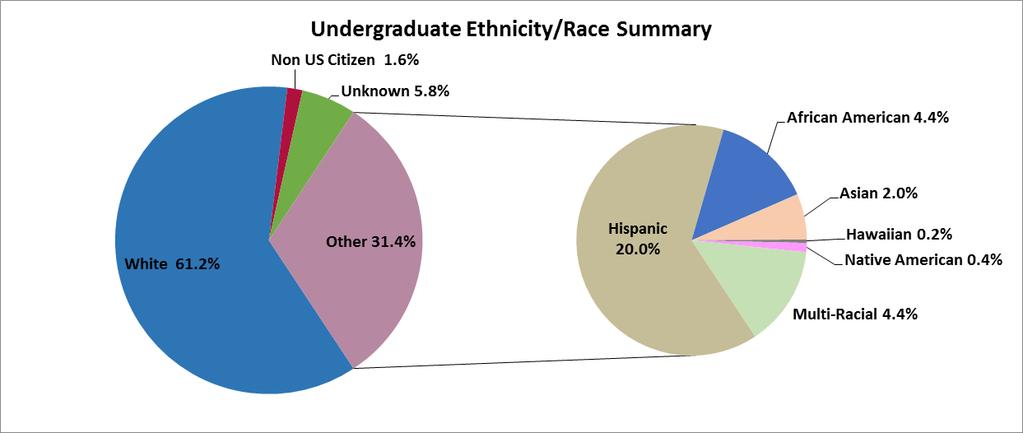 Ethnic Group Ethnicity Ethnicity Summary Undergraduate Ethnicity Summary Non- WUE/WICHE Total Total # % # % # % # % # % Hispanic 1,568 21.9% 55 7.2% 107 15.2% 1,730 20.0% 1,584 18.