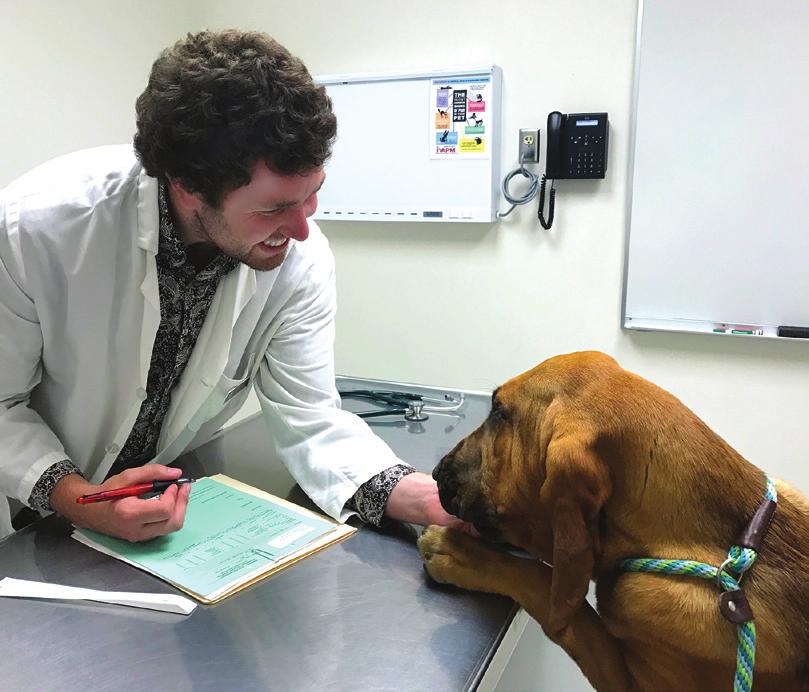 Because the clinicians have a wide range of specialty areas, the Veterinary Teaching Hospital sees a large and diverse caseload.