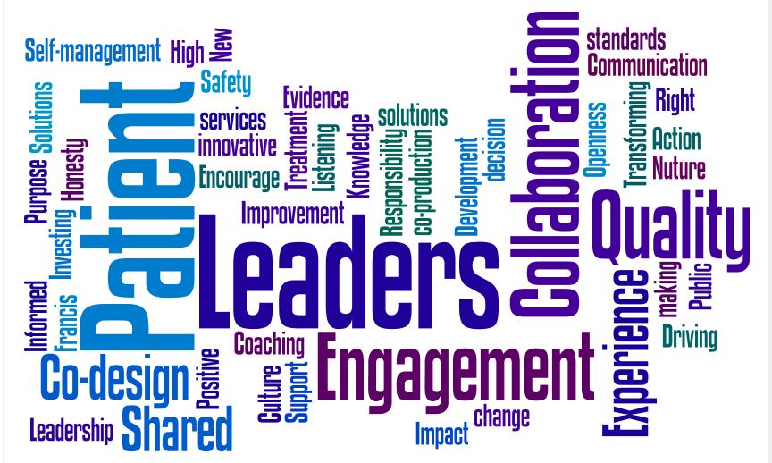 Patient Leadership Programme Leadership for Health Care The Way Forward for Collaborative Working Aim of the Patient Leader Programme To develop patient leaders who can effectively influence our