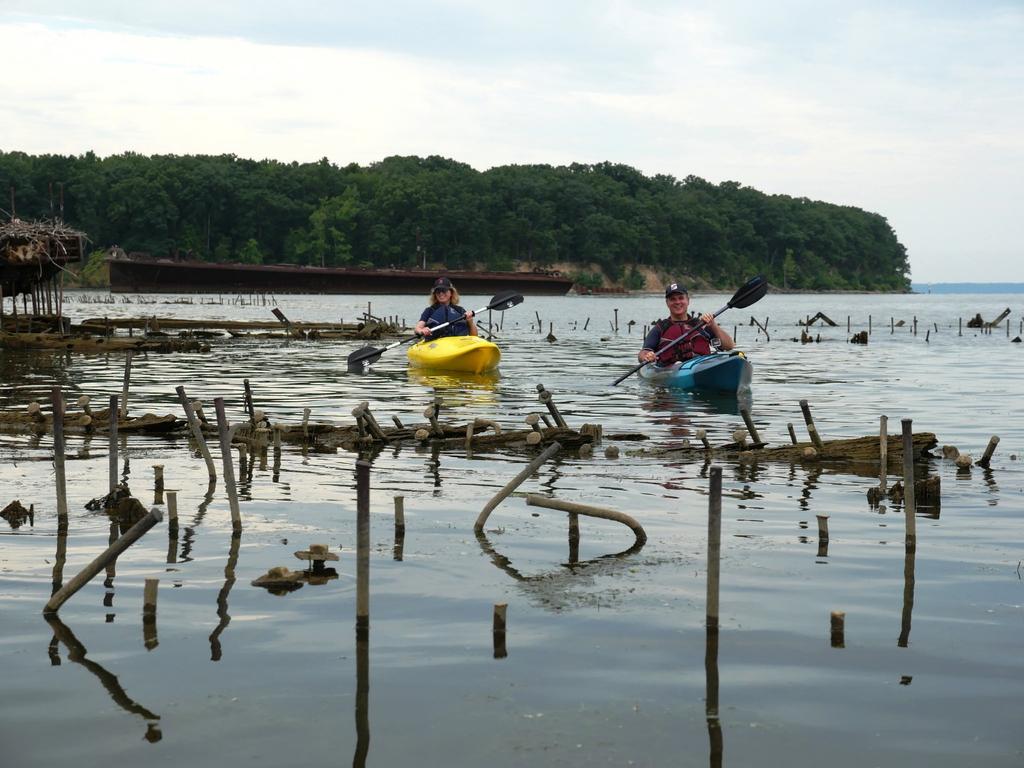 Mallows Bay-Potomac River Proposed National Marine Sanctuary Study Area Profile of Alternatives