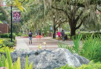 SEMINOLE PATHWAYS PROGRAM Students selected by the Office of Admissions to participate in the Program will be able to join us on the Tallahassee campus after completing one of the four pathways