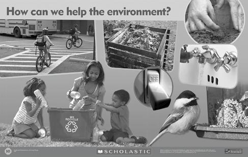 How Can We Contribute to a Healthy Environment? Focus: Students recognize that living things depend on their environment to fulfill their needs.