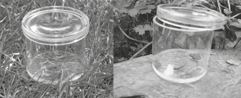 (b) Magnifying bug boxes are used to observe small insects. One type consists of a clear plastic pot with a snap-on lid. 2004 Educational Field Equipment UK Ltd.