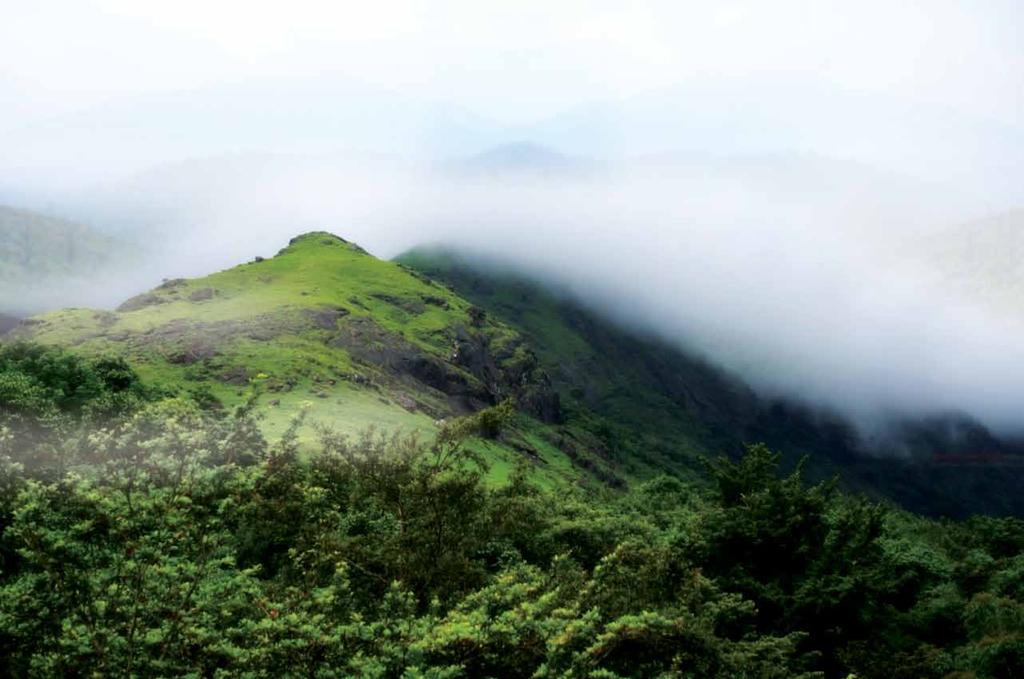 Wayanad a stairway to nature s version of heaven on earth Located in the north eastern Kerala, Wayanad is touted as one among the 50 must-see destinations in the world by the National Geographic.