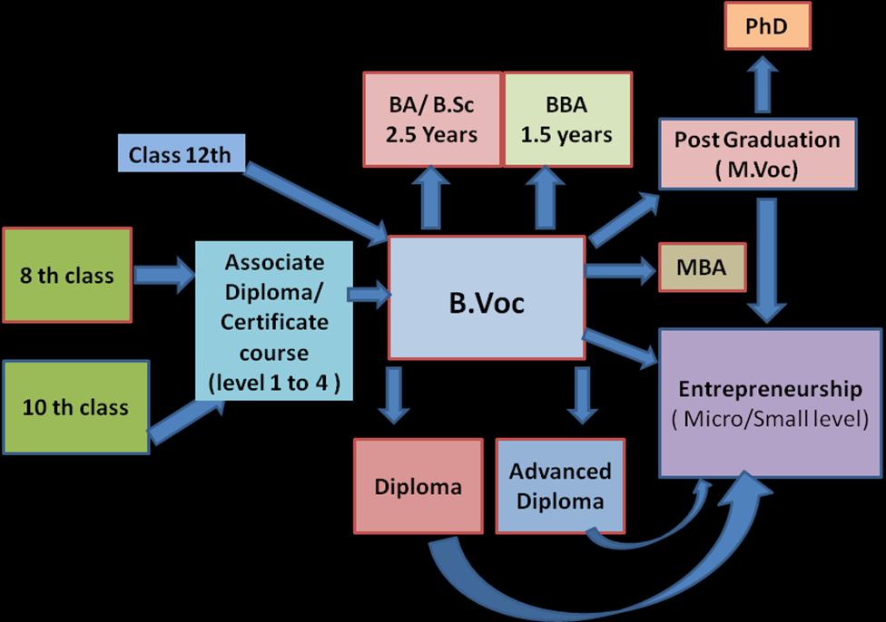 83 Eligibility for BVoc Programmes : (a) BVoc in Apparel Design: Candidates with 10+2 or an equivalent certificate (Only for female candidates).