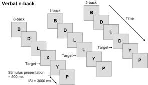 WORKING MEMORY for ADOPTED LANGUAGE BEHAVIORAL RESULTS NO group differences on accuracy or reaction