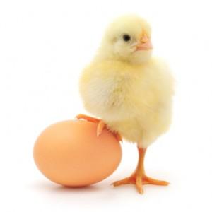Chicken or egg? Does higher language proficiency lead to better scores on WM tasks? Might well be!